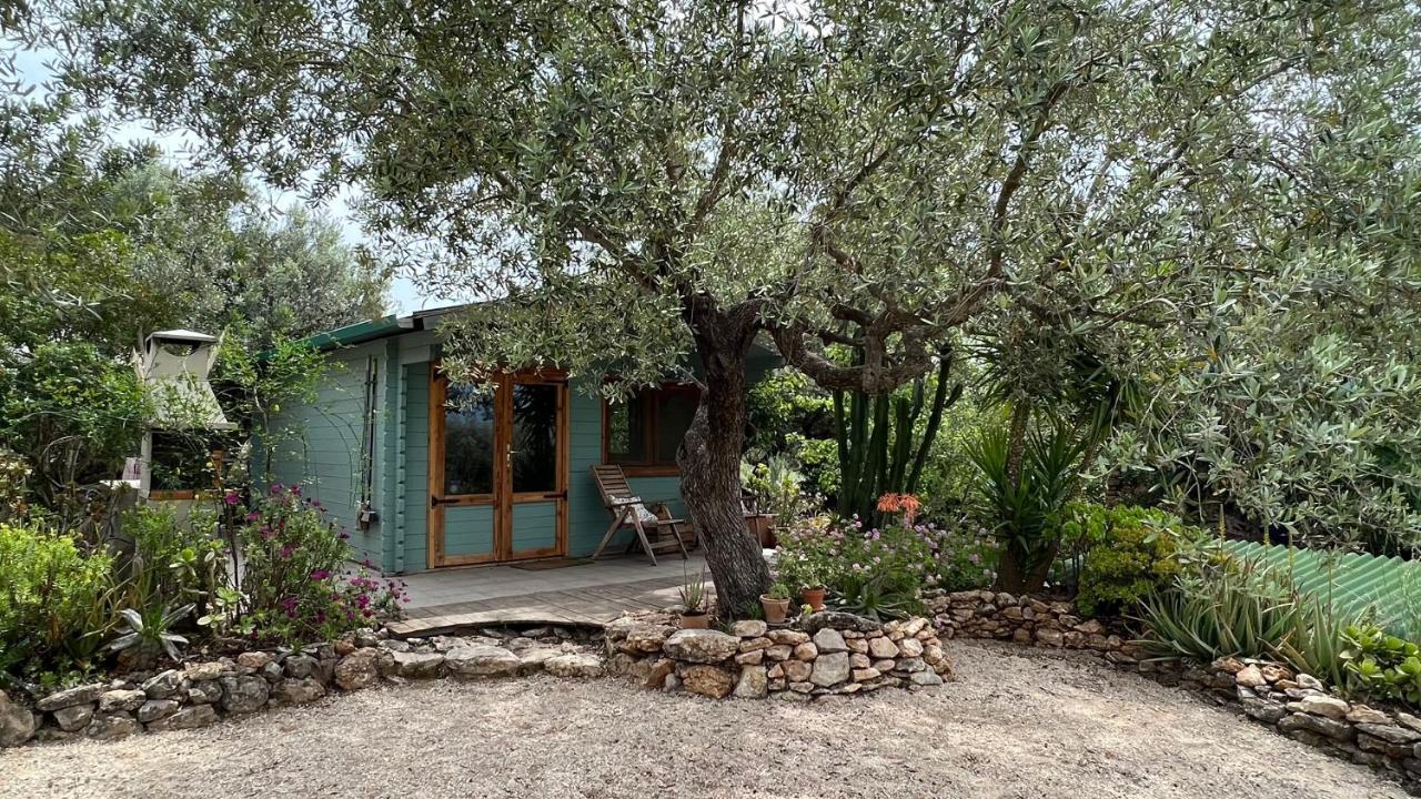 Finca Florecer Tivenys Buitenkant foto