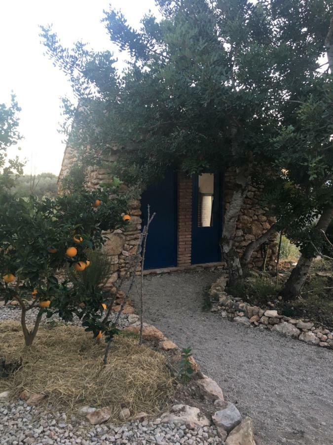 Finca Florecer Tivenys Buitenkant foto